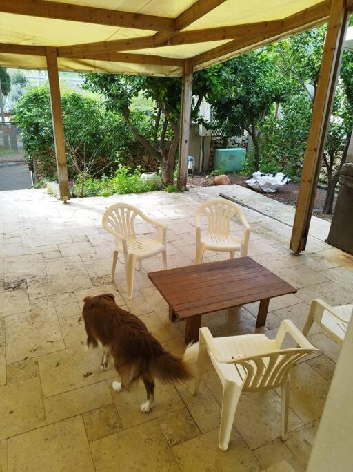 Photo of Others in Kiryat Tiv'on