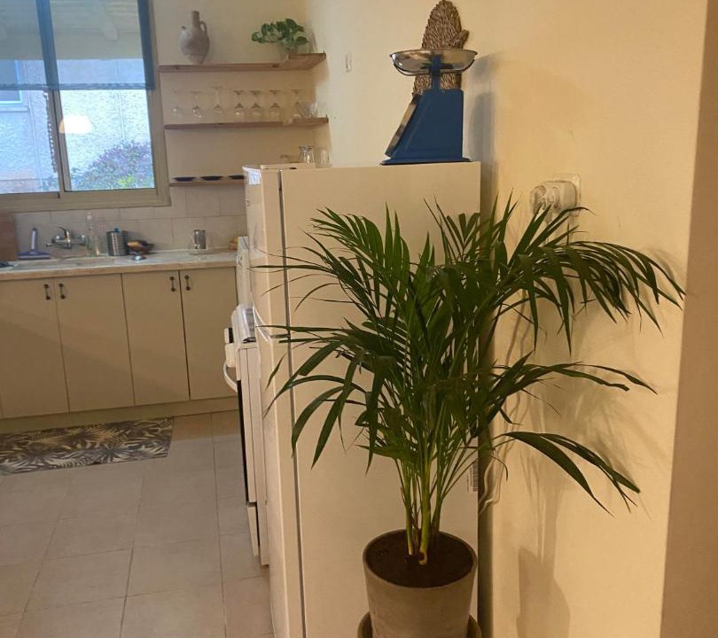 Photo of Kitchen in Dafna