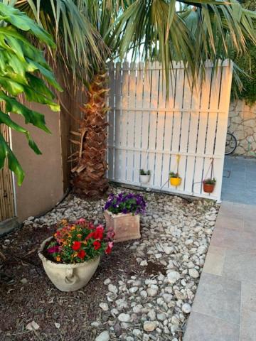 Photo of Others in Nahariya
