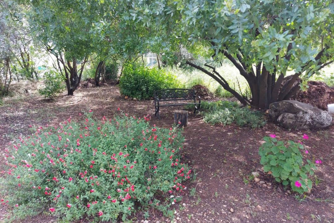 Photo of Outdoor in Rosh Pinna