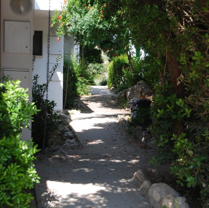 Photo of Others in Neve Shalomm