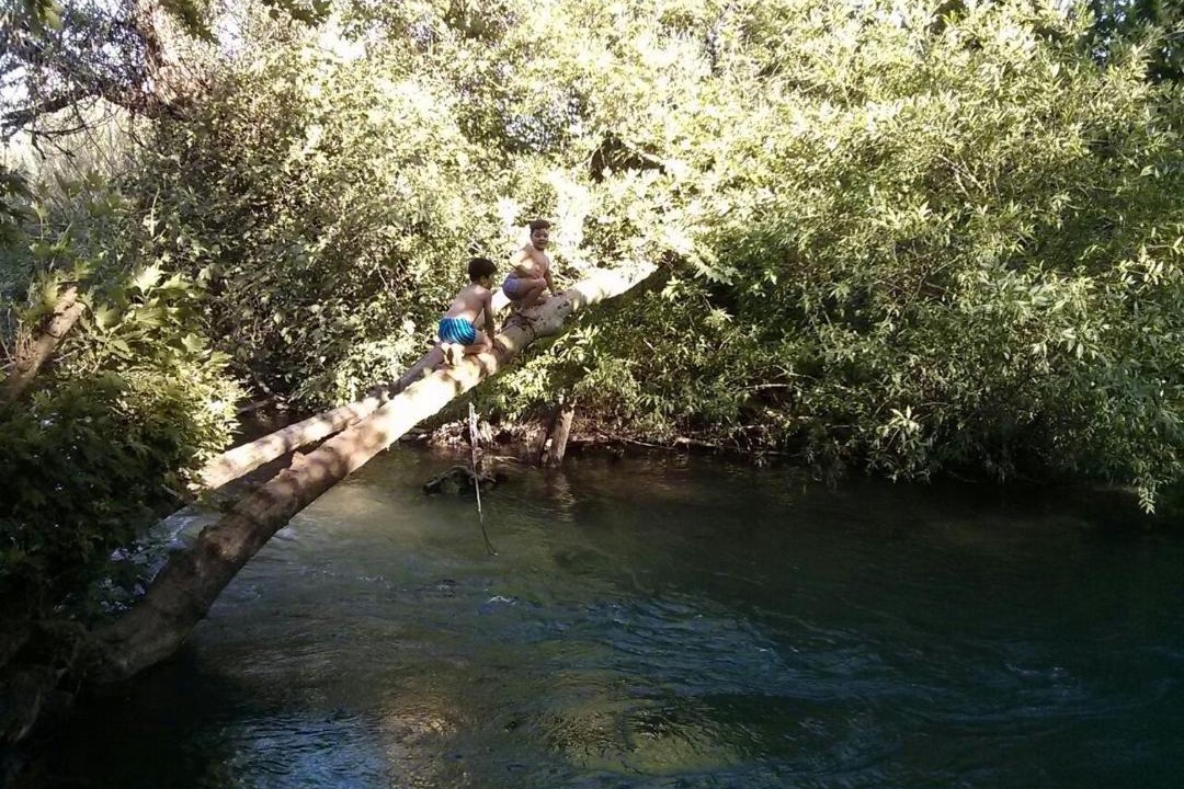 Photo of Others in She'ar Yashuv
