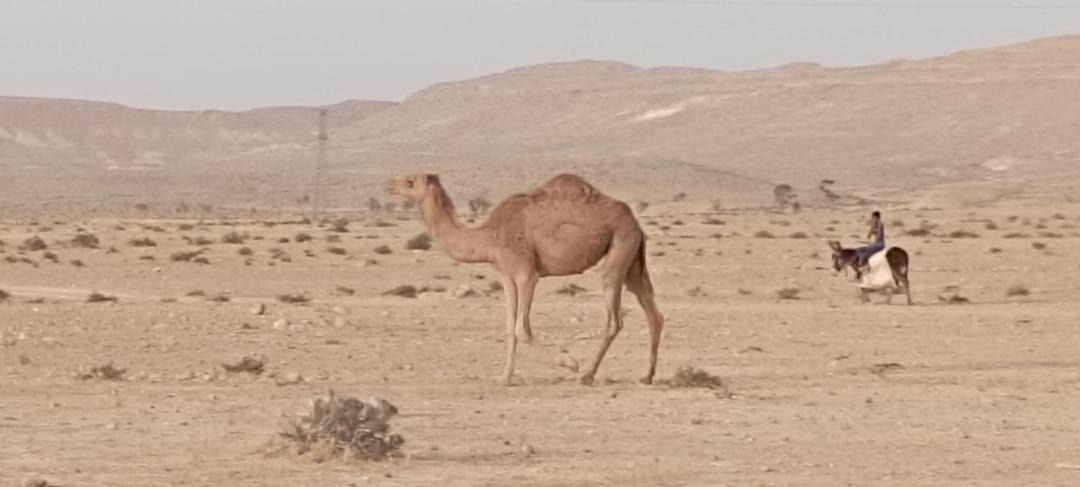 Photo of Others in Yeruham