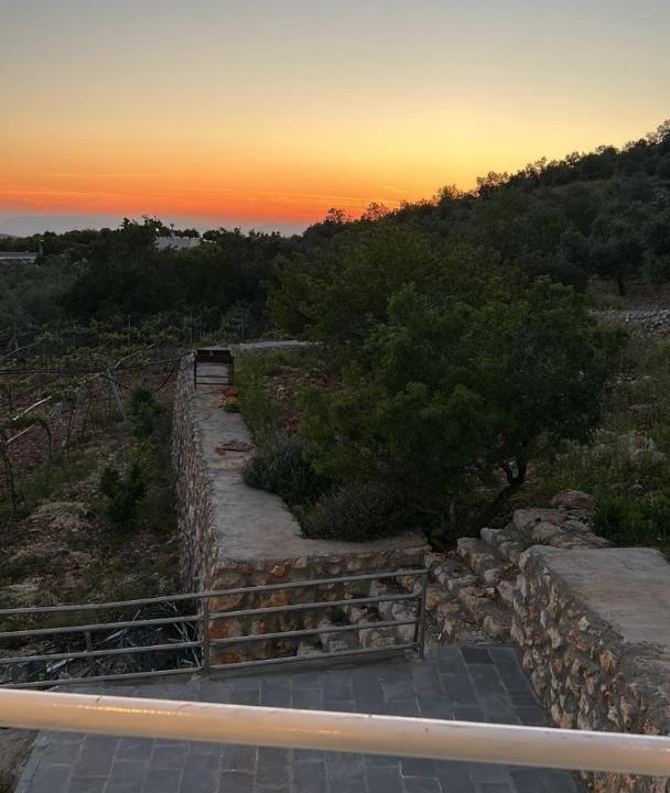 Photo of Others in Ajloun
