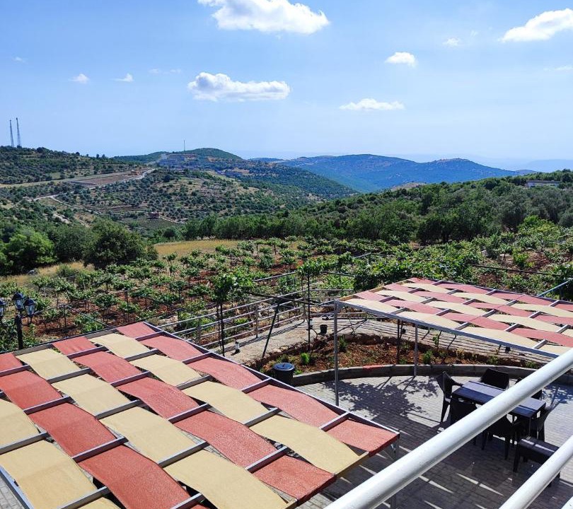 Photo of Others in Ajloun