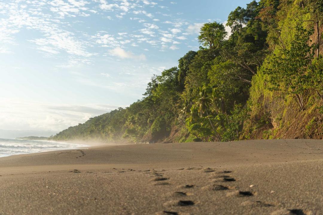 Photo of Others in Puerto Jimenez