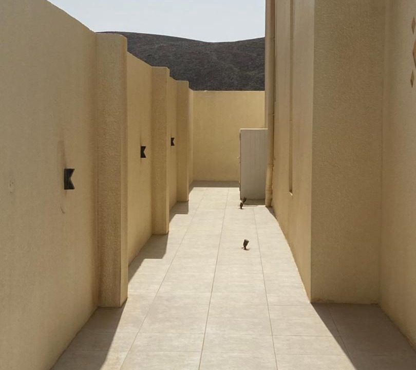 Photo of Others in Al Hadd