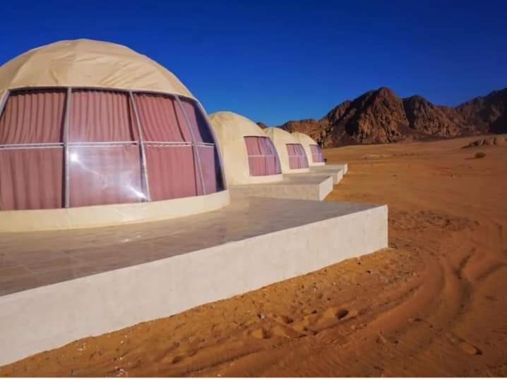 Photo of Others in Wadi Rum