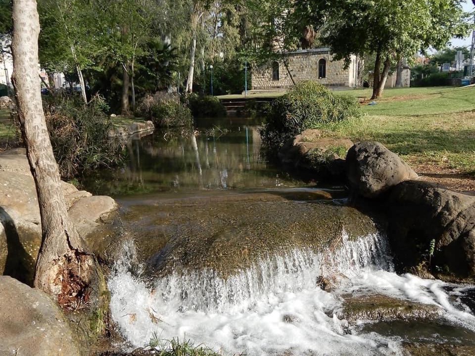 Photo of Others in Qiryat Shemona