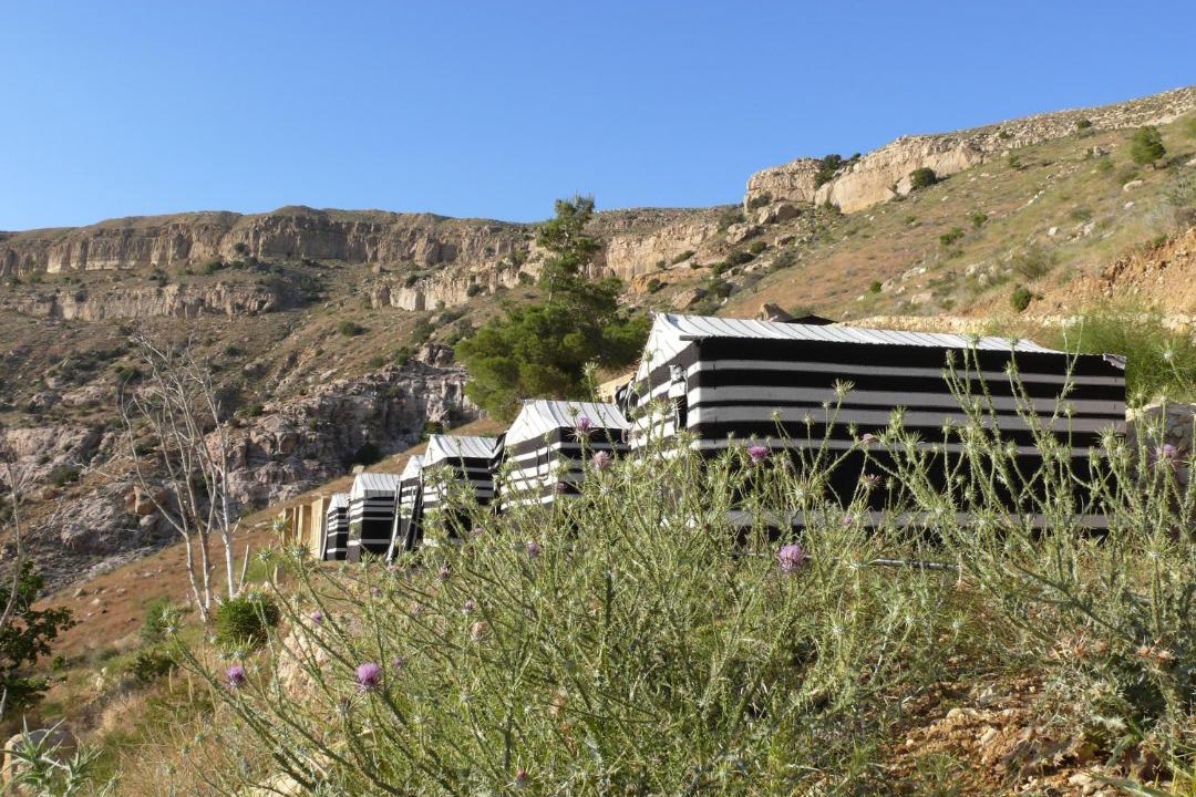 Photo of Others in Dana