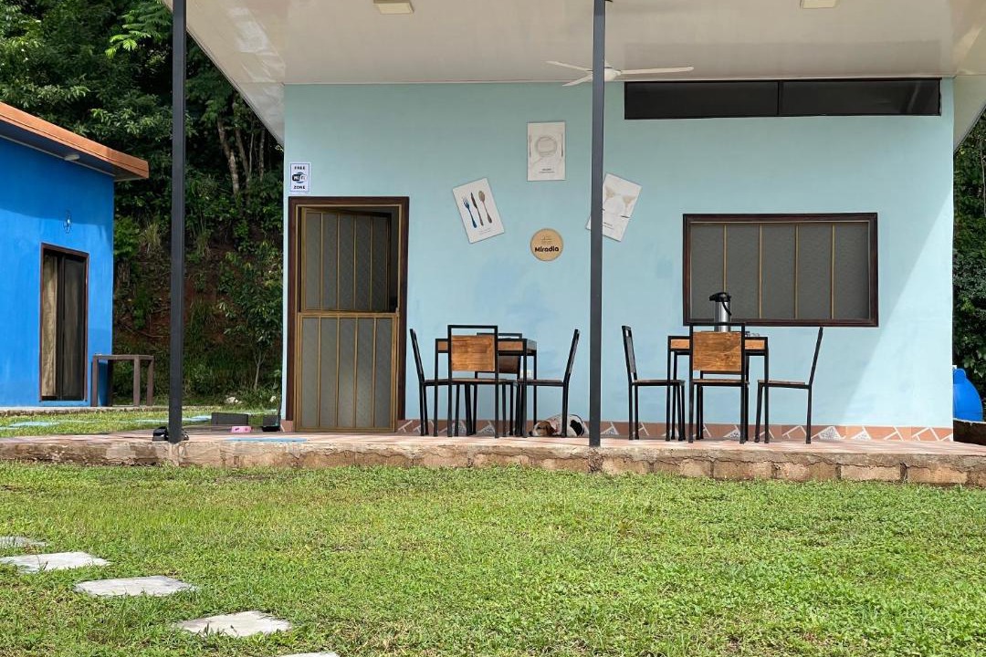 Photo of Others in Matapalo