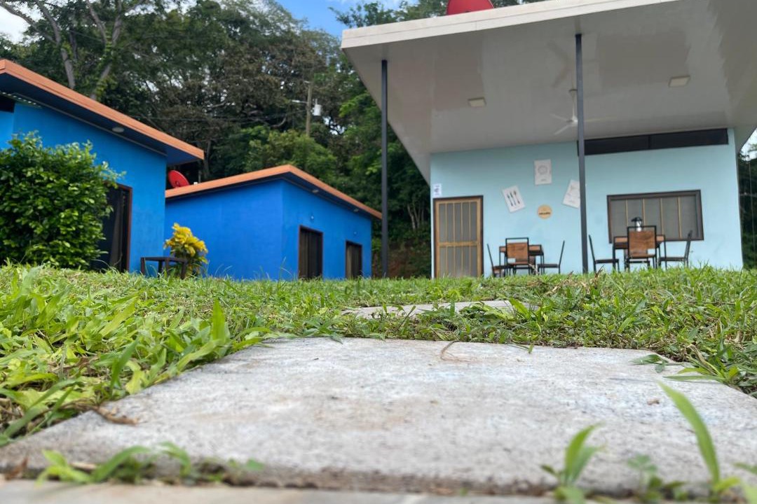 Photo of Others in Matapalo