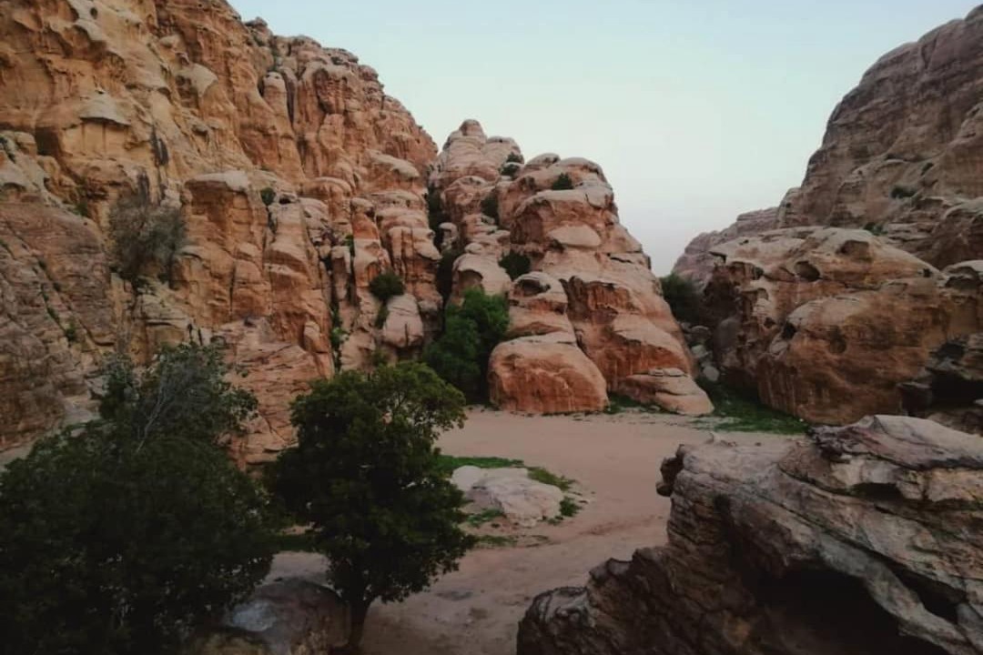 Photo of Others in Wadi Musa