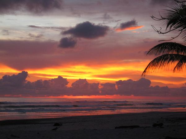 Photo of Others in Manzanillo
