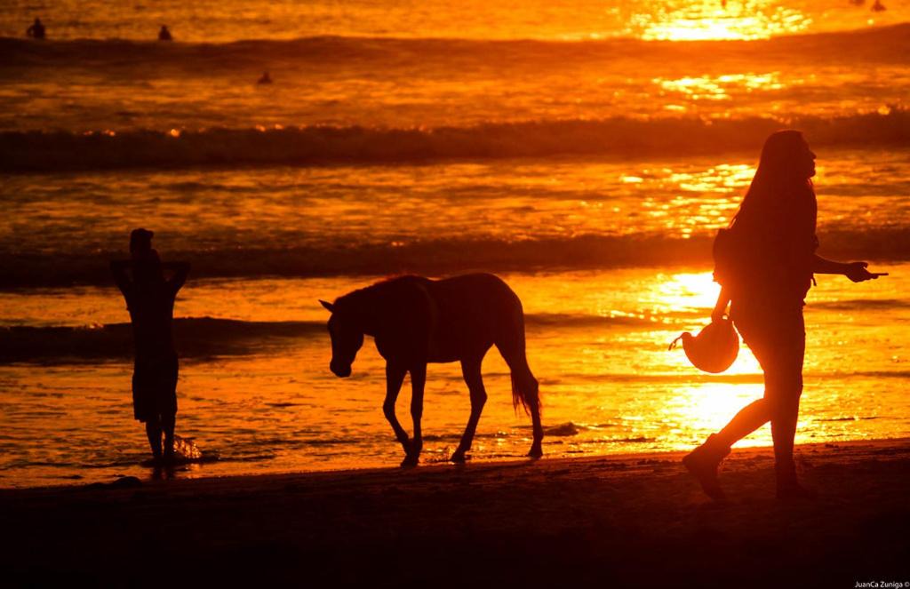 Photo of Others in Manzanillo