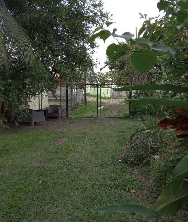 Photo of Others in Puerto Viejo de Talamanca