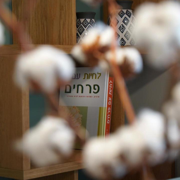 Photo of Others in Nahariya