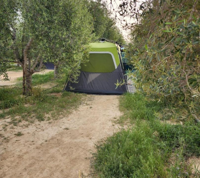 Photo of Outdoor in Mitzpe Ramon