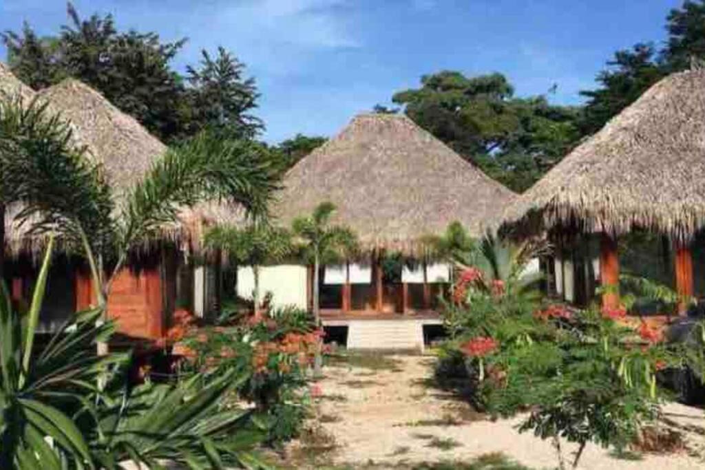 Photo of Others in Tamarindo