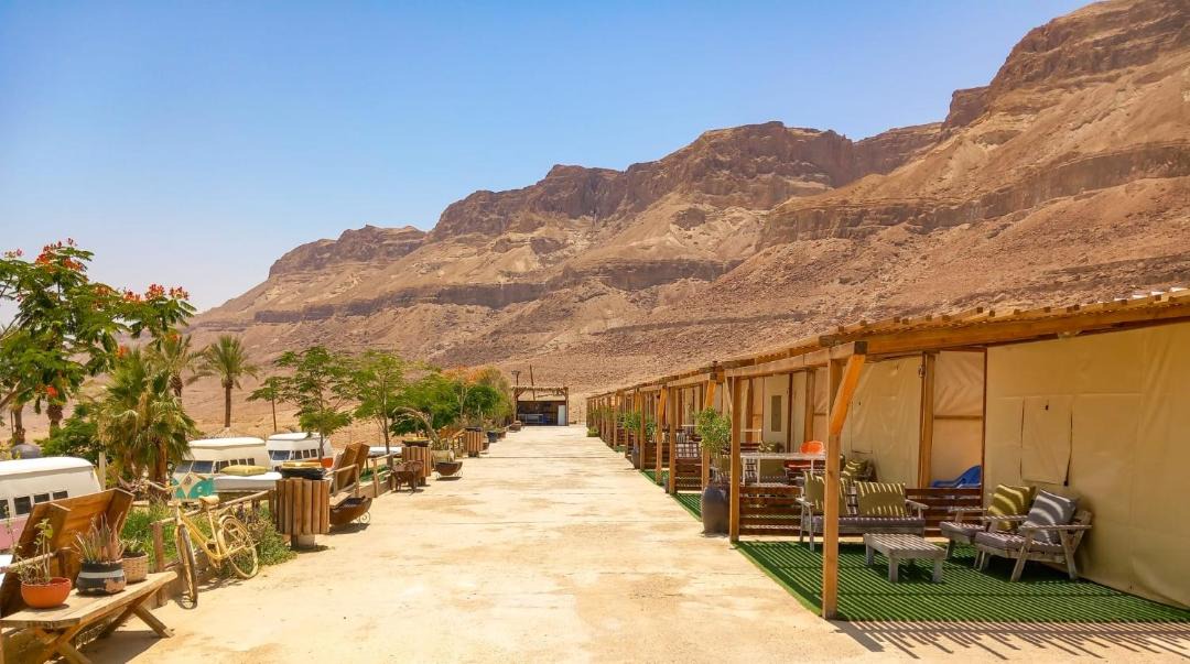 Photo of Others in Ein Gedi