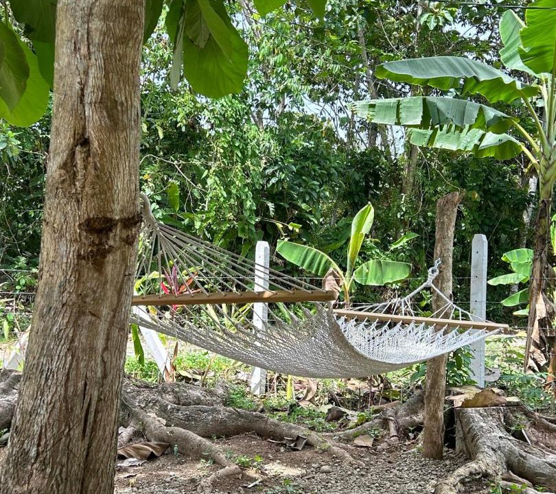 Photo of Others in Cahuita
