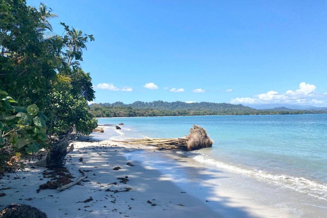 Photo of Others in Cahuita