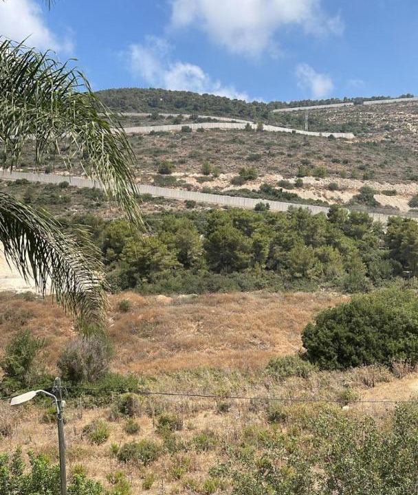 Photo of Others in Shlomi