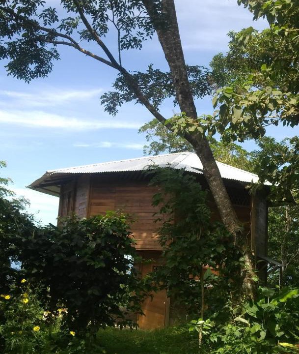 Photo of Others in Canton La Cruz