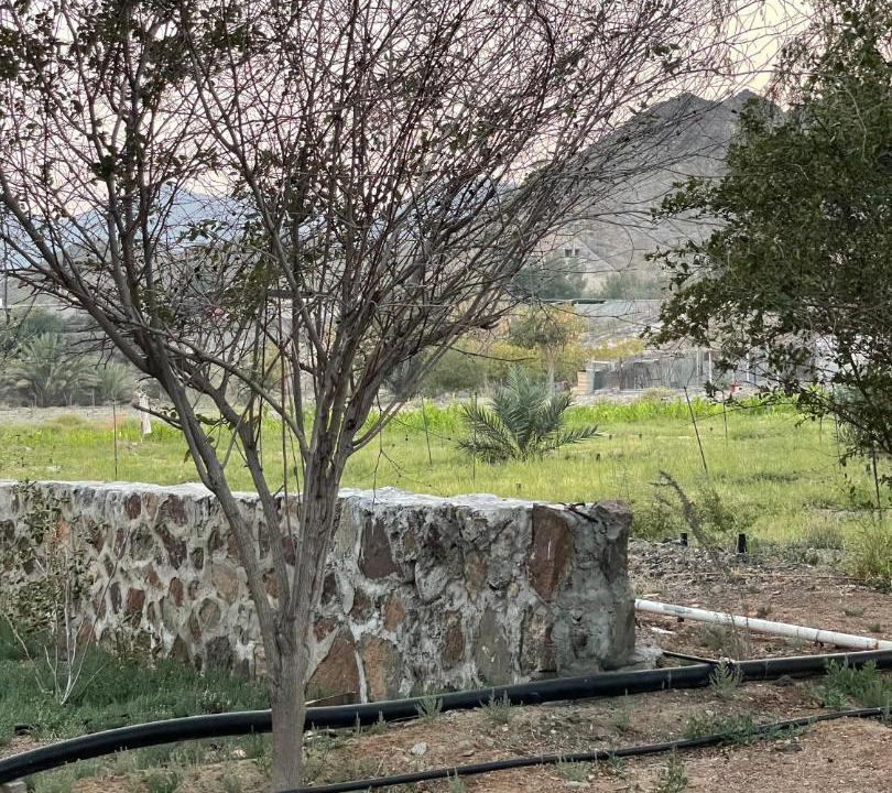 Photo of Others in Hatta