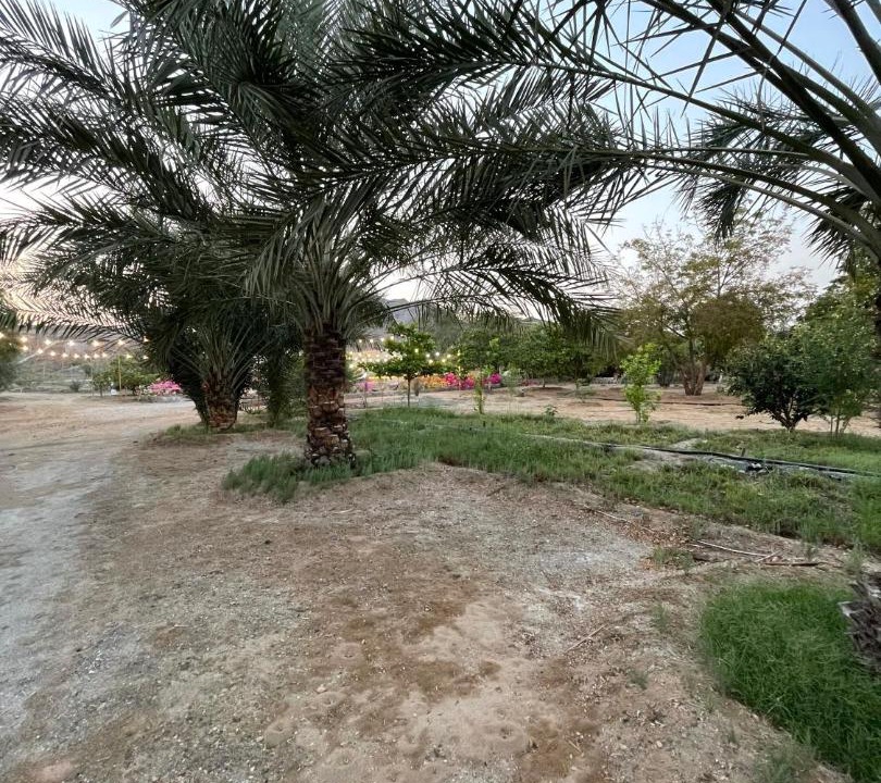 Photo of Others in Hatta