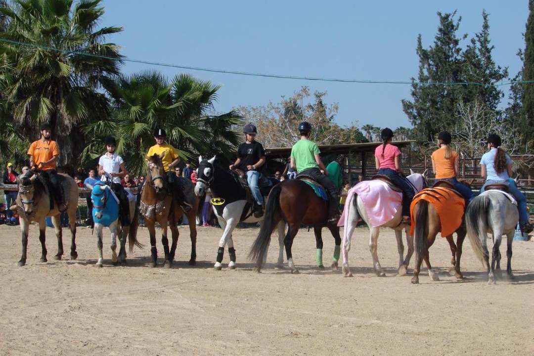 Photo of Others in Kramim