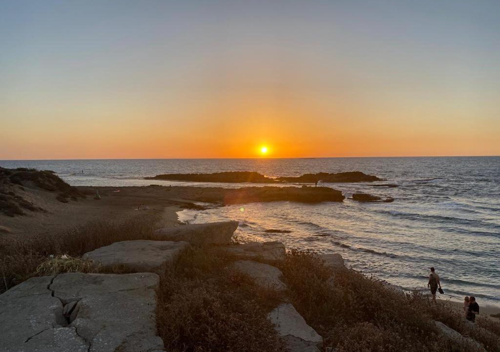 Photo of Others in Ashkelon