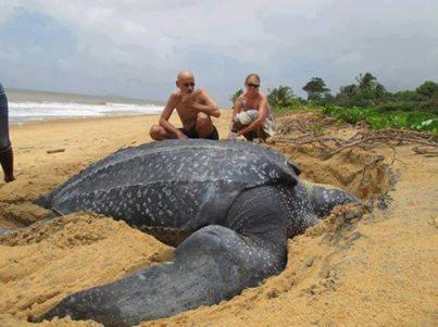 Photo of Others in Manzanillo