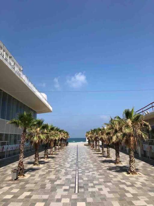 Photo of Others in Bat Yam