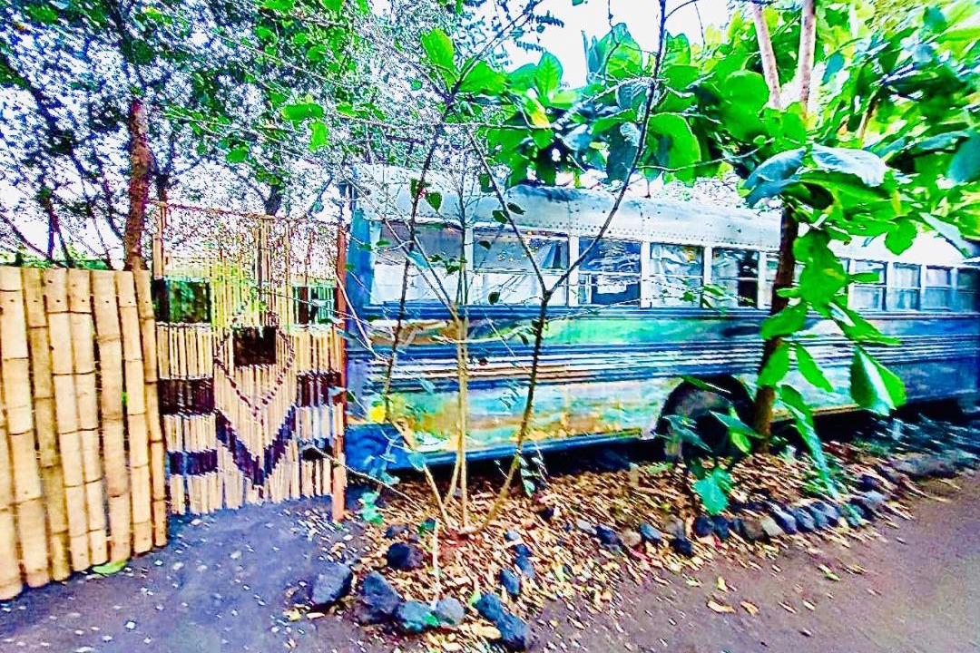 Photo of Others in Ometepe Island