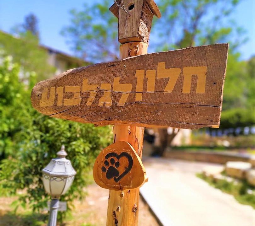 Photo of Others in Beit Alfa