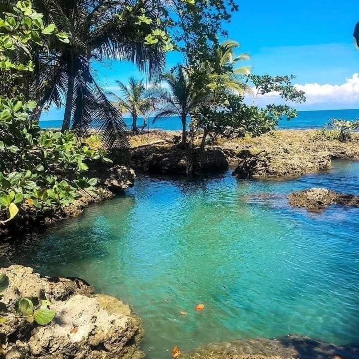 Photo of Others in Cahuita