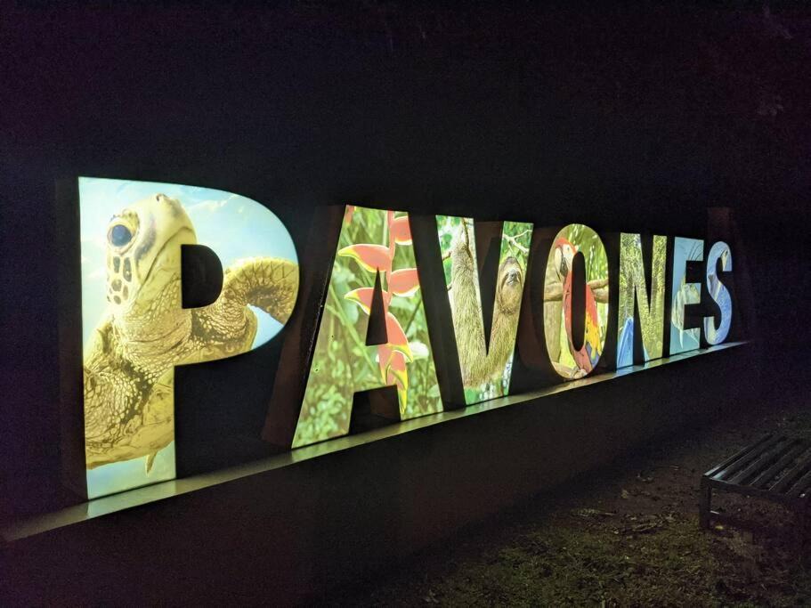 Photo of Others in Pavones