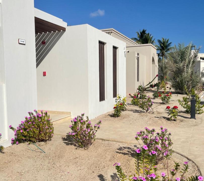 Photo of Buildings in Salalah