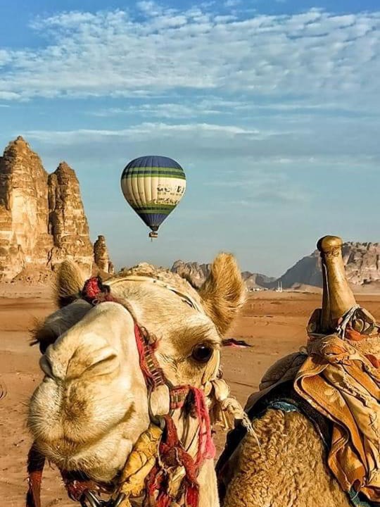 Photo of Others in Wadi Rum