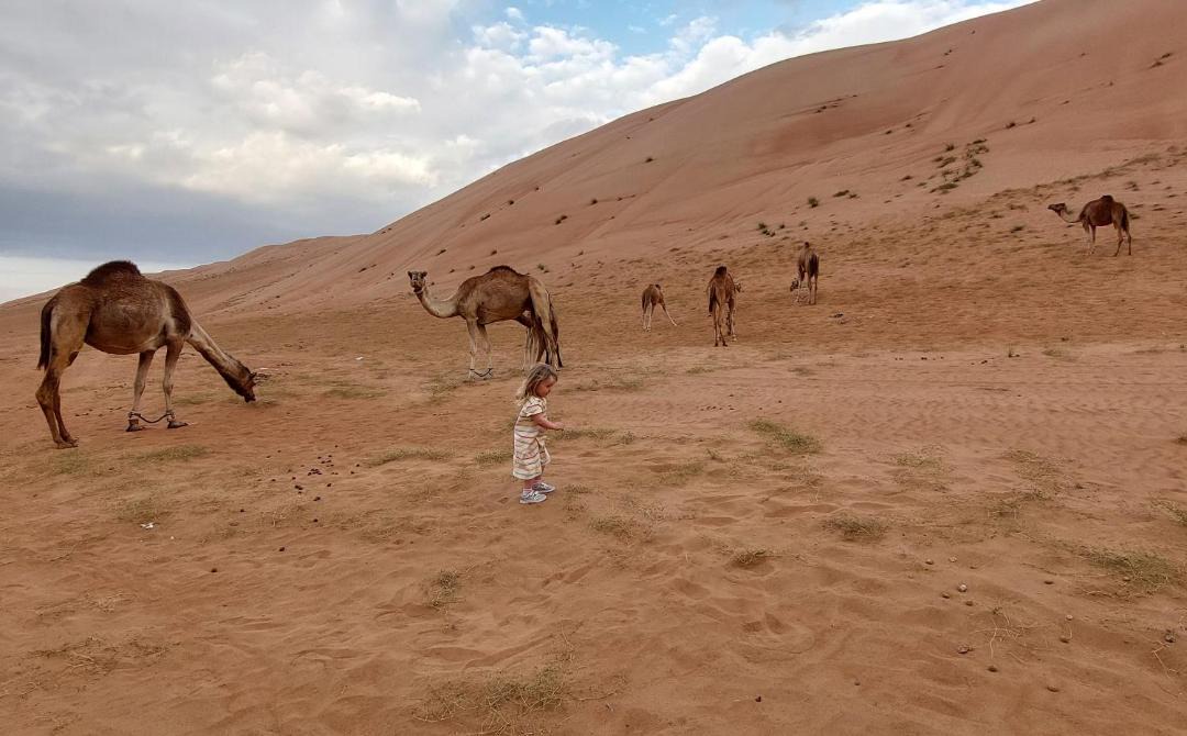 Photo of Others in Al Wasil