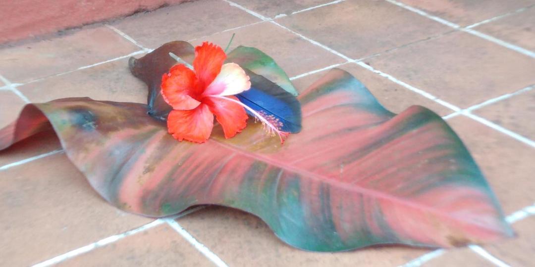Photo of Others in Sierpe