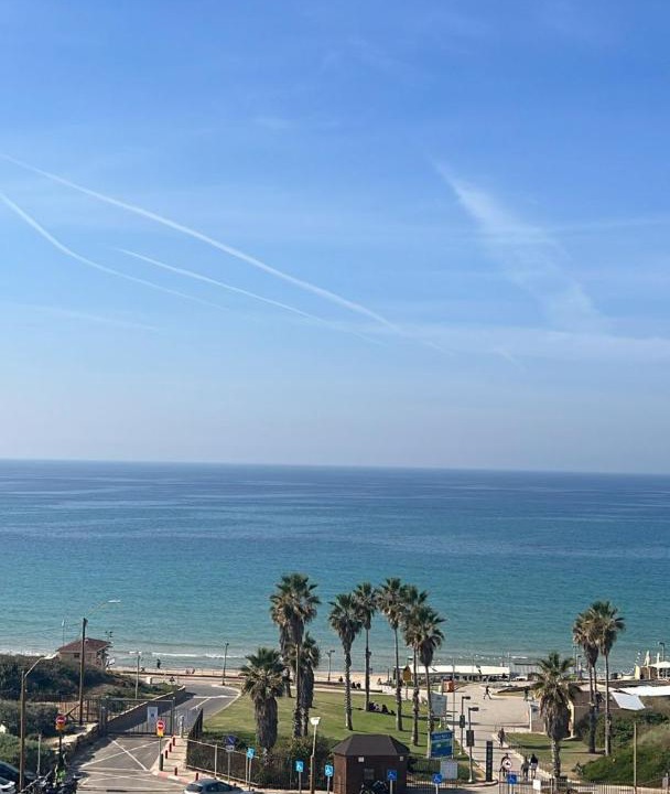 Photo of Others in Herzliya