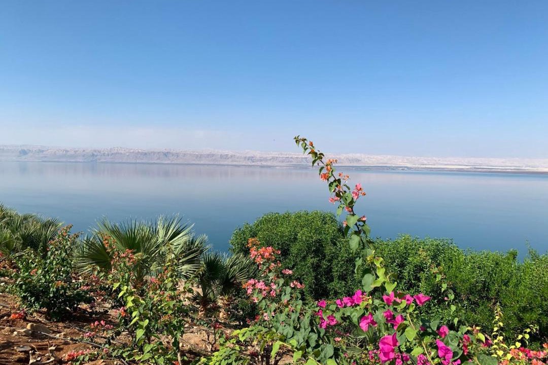 Photo of Others in Sweimeh