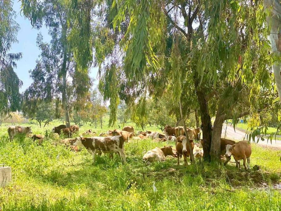 Photo of Others in Gilboa