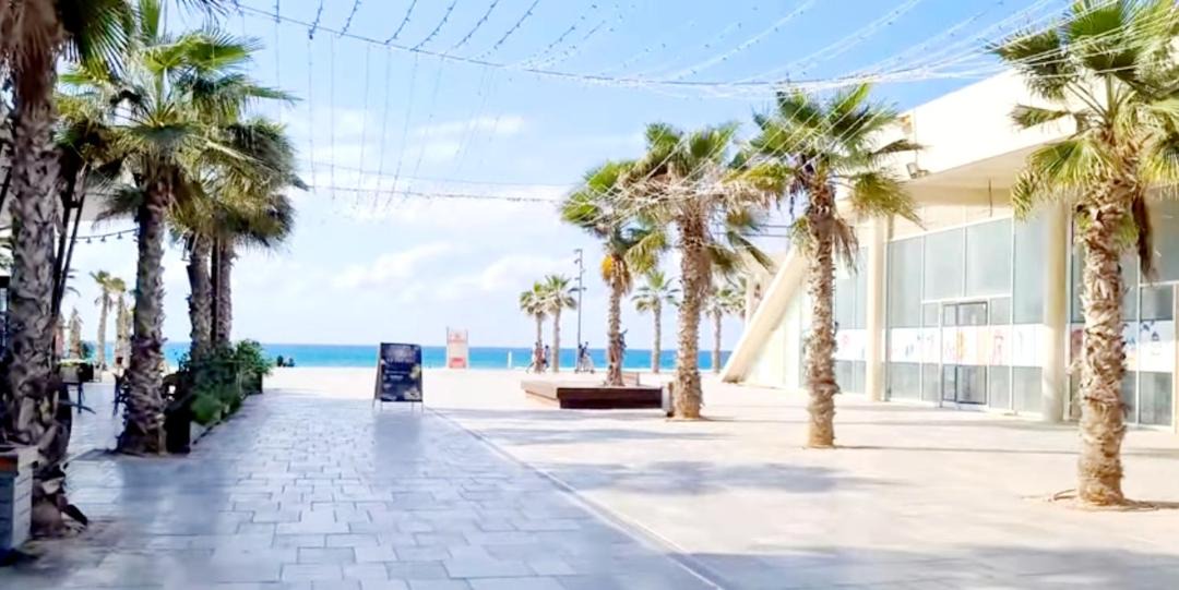 Photo of Others in Bat Yam
