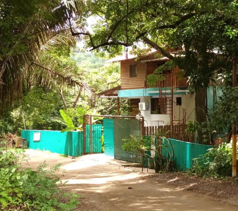 Photo of Others in Nosara