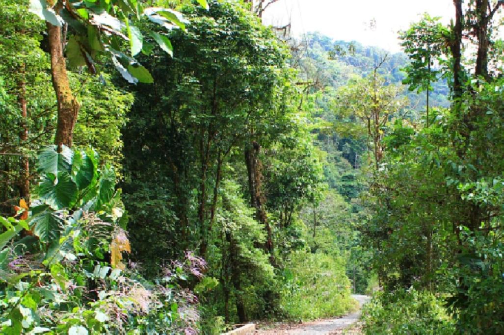 Photo of Others in Canton Parrita