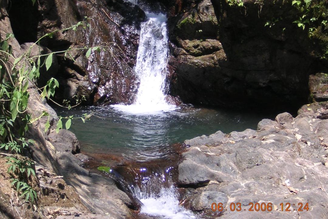 Photo of Others in Canton Parrita