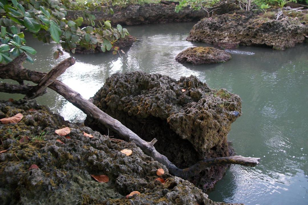 Photo of Others in Cahuita